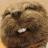 Medium_default_user_avatar