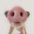 Medium_default_user_avatar