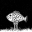 白饭魚