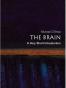 The Brain