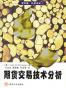 期货交易技术分析