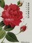 我曾这样寂寞生活：辛波斯卡诗选2