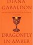 Dragonfly in Amber