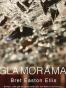 Glamorama