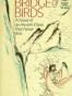 Bridge of Birds