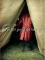 Water for Elephants