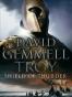 Shield of Thunder (Troy Trilogy, Book 2)