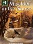 A Mischief in the Snow