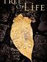 Tree of Life