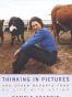 Thinking In Pictures