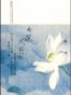 曲院风荷