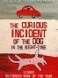 The Curious Incident of the Dog in the Night-time