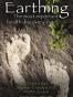 Earthing