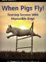 When Pigs Fly