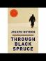 Through Black Spruce