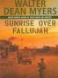 Sunrise Over Fallujah