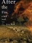 After the Fire, a Still Small Voice