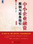 中小企业融资案例与实务指引
