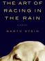 Art of Racing in the Rain