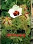常见植物野外识别手册
