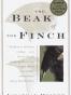 The Beak of the Finch