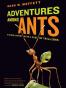 Adventures among Ants