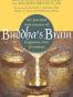 Buddha's Brain