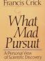 What Mad Pursuit