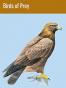 Birds of Prey