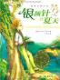 银顶针的夏天