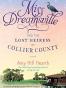Miss Dreamsville and the Lost Heiress of Collier County