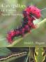 Caterpillars of Eastern North America