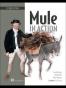 Mule in Action