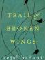 trail of broken wings