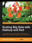 Scaling Big Data with Hadoop and Solr