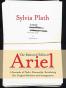 Ariel