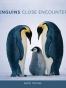 Penguins
