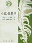 小说修辞学