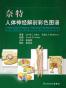 奈特人体神经解剖彩色图谱