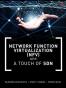 Network Functions Virtualization  with a Touch of SDN