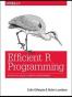 Efficient R Programming