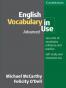 剑桥词汇书:English Vocabulary in Use Advanced