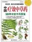 中国疗效中草药