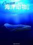 海洋动物图鉴