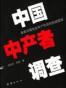 中国中产者调查