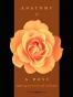 Anatomy of a Rose