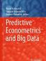 Predictive Econometrics and Big Data