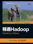 精通Hadoop