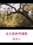北大经济学课程