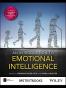 An Introduction to Emotional Intelligence